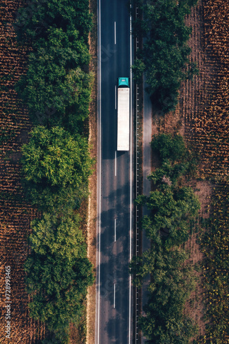 Принти на полотні Trucking and freight transport logistic concept, aerial shot of semi-truck on hi