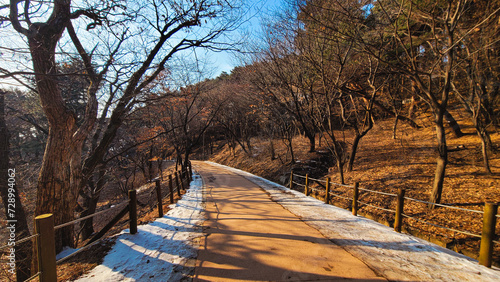 path in the park