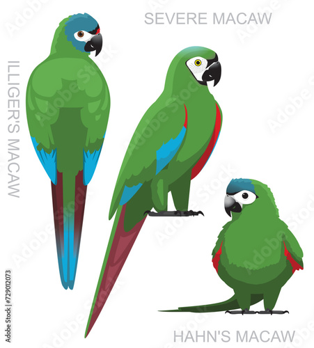 Cute Bird Mini Macaw Parrot Set Cartoon Vector