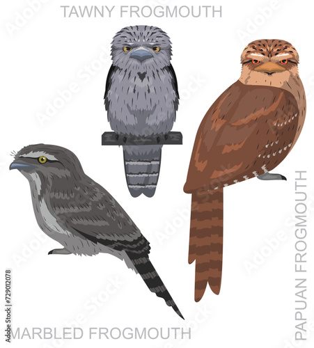 Cute Bird Tawny Frogmouth Set Cartoon Vector