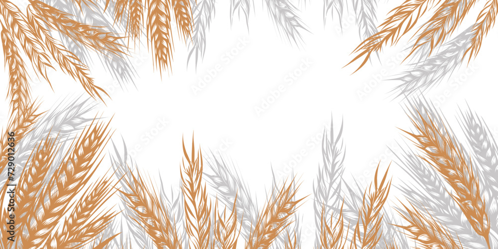 Border of spikelets of wheat, rye, barley with copy space. Background for packaging, bakery shop, flour products, farm products, vector illustration isolated on background. Border of spikelets of wheat, rye, barley with copy space. Background for packaging, bakery shop, flour products, farm products, vector illustration isolated on background.