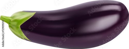 Raw realistic eggplant vegetable. Whole ripe isolated veggie. 3d vector elongated glossy plant with purple shiny skin, encases a spongy interior and mild taste, awaits to be cooked into tasty dishes