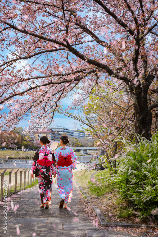 Young Japanese girls in traditional Yukata dress strolls by Kamogawa river Kyoto during full bloom cherry blossom Young Japanese girls in traditional Yukata dress strolls by Kamogawa river Kyoto during full bloom cherry blossom