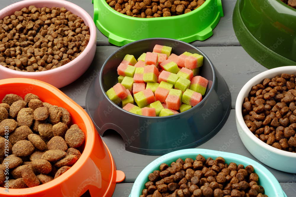 Various pet bowls with dry food on gray wooden background Various pet bowls with dry food on gray wooden background