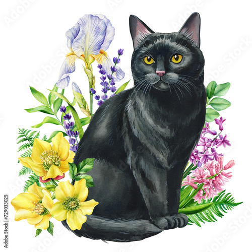 Black cat Watercolor painting, flowers with cat white background. Hand painted spring concept illustration Summer flower
