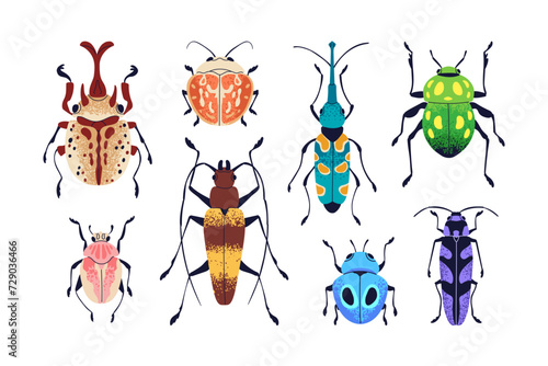 Beetles set. Summer bugs with colorful pattern on wings. Fauna species, different bright insects types with antenna, legs, top view. Flat vector illustrations isolated on white background