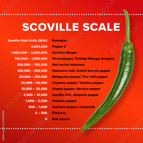 Table with Scoville scale for most popular chili peppers. Scoville Heat Units, SHU, measurement of pungency, spiciness or heat, based on concentration of capsaicinoids, which capsaicin is predominant. photo