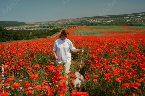 woman with dog. Happy woman walking with white dog along a blooming poppy field on a sunny day. On a walk with dog