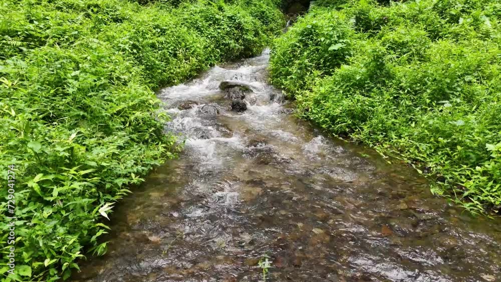 clear flowing river water.
This is a river that flows from a spring in the protected forest of Sesaot Hamlet - West Lombok.
This river is a source of water for local communities. clear flowing river water.
This is a river that flows from a spring in the protected forest of Sesaot Hamlet - West Lombok.
This river is a source of water for local communities.