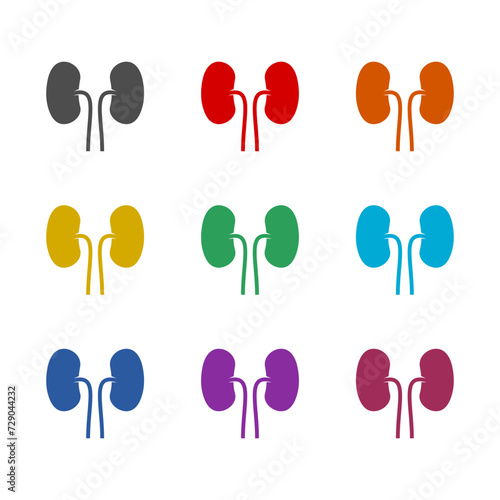 Kidney  icon isolated on white background. Set icons colorful