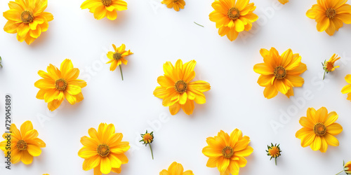 Top view yellow flowers on white background, Minimal fashion summer holiday concept. Flat lay