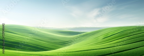 Green field, abstract landscape at the morning summer