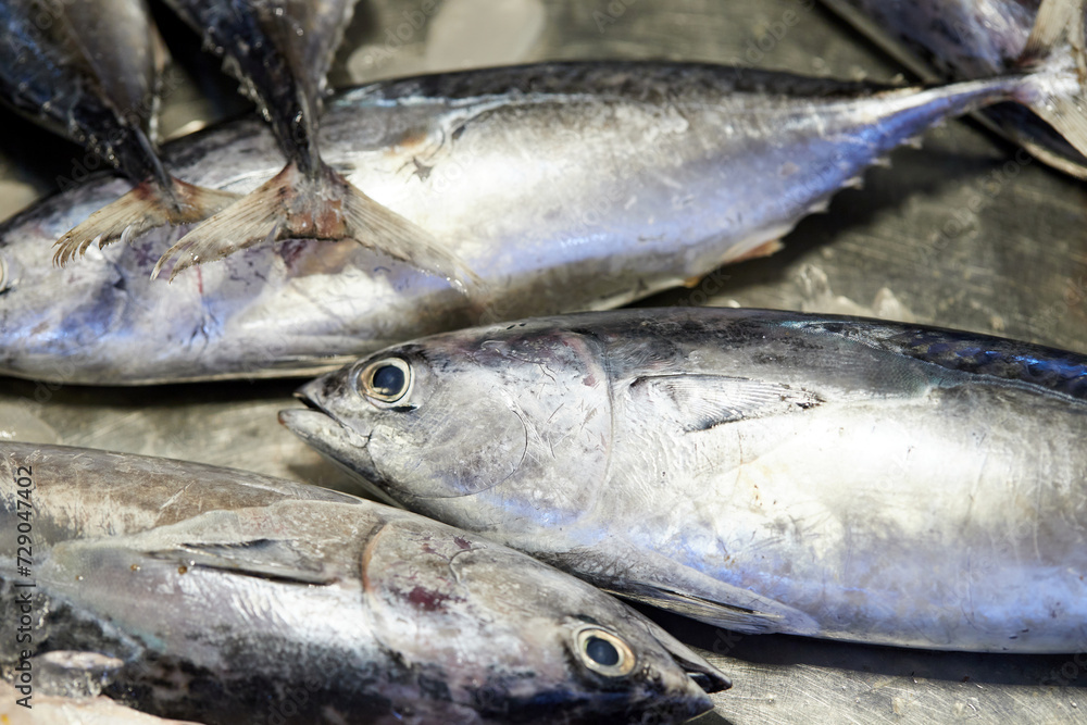 Close-up of longtail tuna for sale in market Close-up of longtail tuna for sale in market