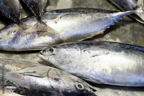 Close-up of longtail tuna for sale in market