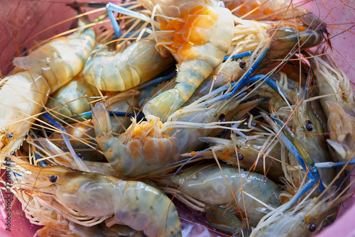 Fresh shrimp in plastic bowl