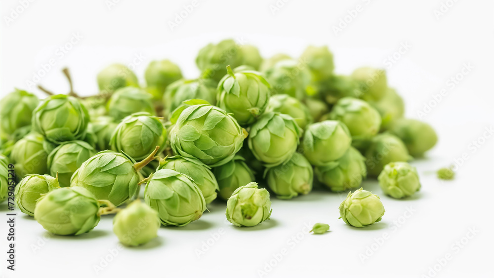 Fresh green hops on white background Fresh green hops on white background