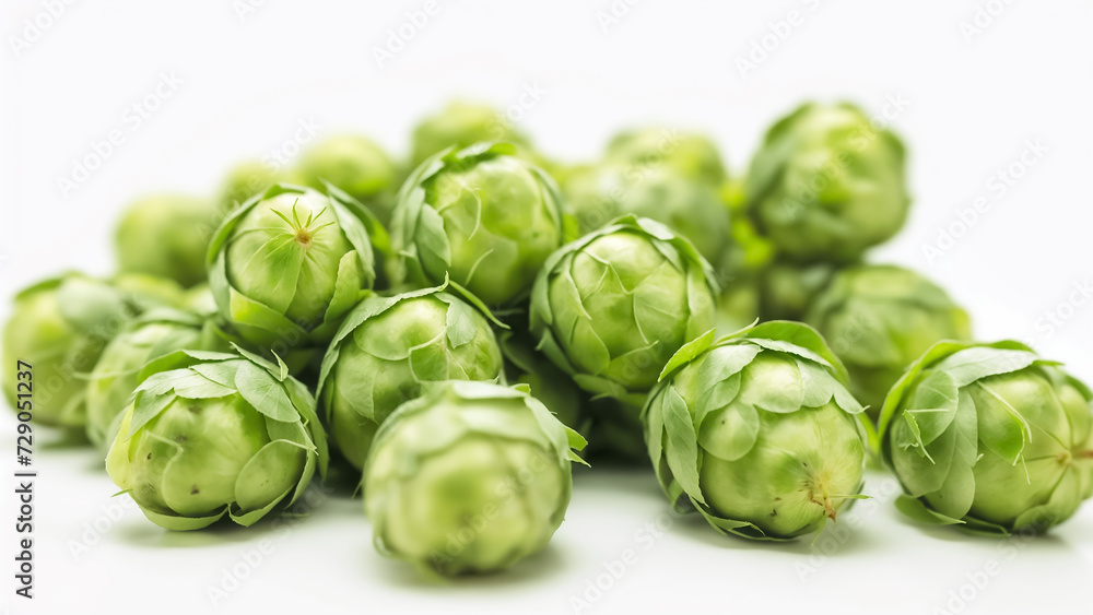 Fresh green hops on white background Fresh green hops on white background
