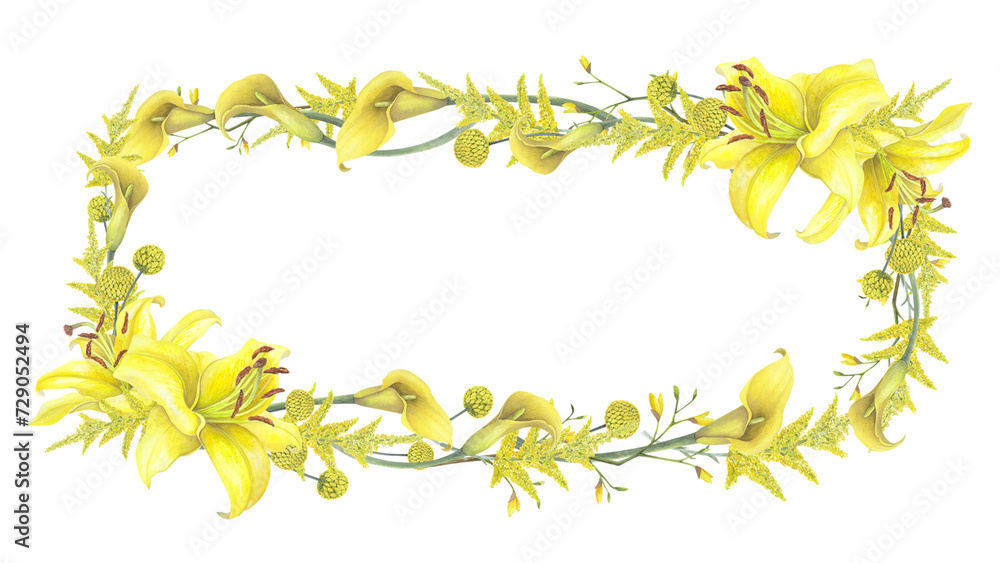 Obraz premium Lilies Yellow flower, calla lilies, craspedia, Solidago Frame border isolated on white background. Watercolor hand drawn botanic illustration. Art design wedding invitation, greeting card, decoration