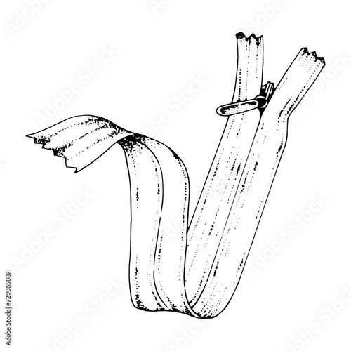 Concealed zipper for sewing. Accessories for clothing. Repair and tailoring to order, sewing workshop, atelier, sewing store. Vector illustration