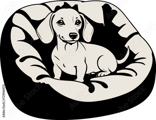 Cute Dachshund dog in soft dog bed cartoon illustration isolated on transparent background two tone svg, perfect dog and pet element for nursery, children's book, kid-friendly character, baby shower