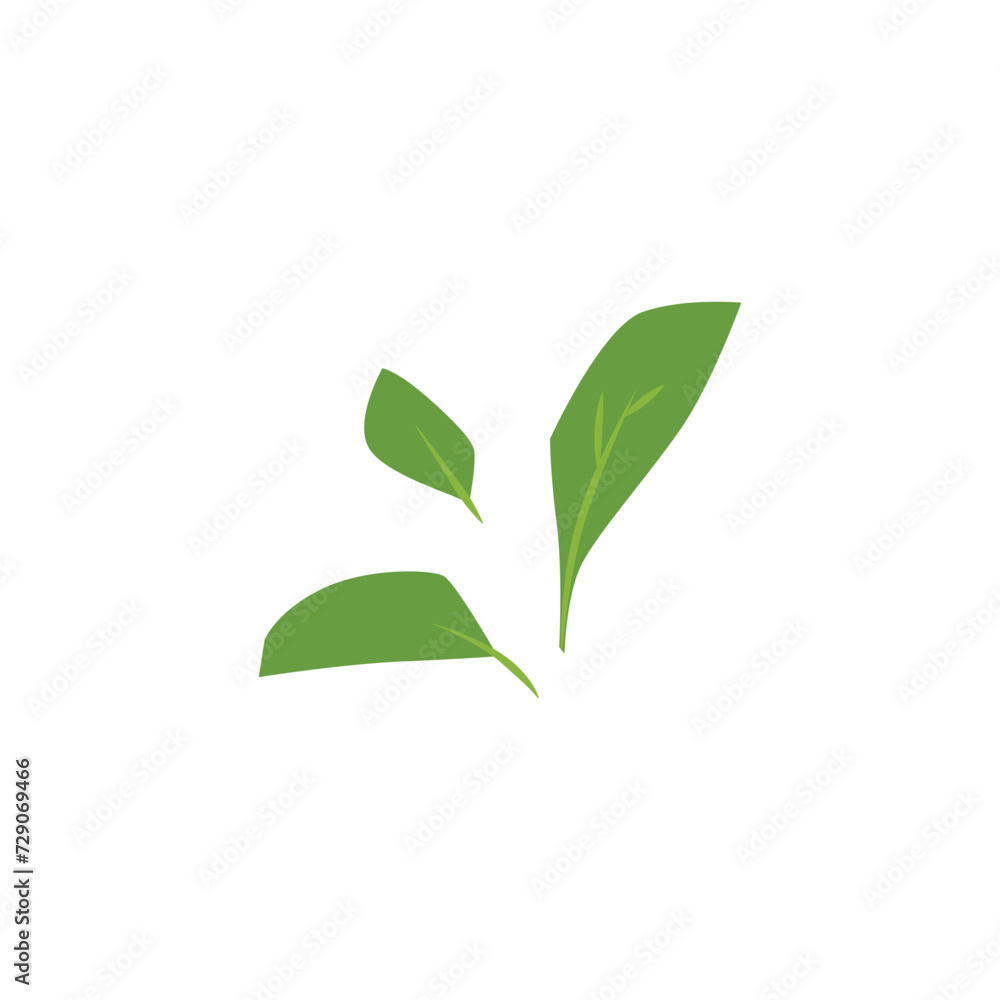 Green leaves icon, fresh herbal tea foliage, natural fragrant healing ingredient, vector botanical floral flat element Green leaves icon, fresh herbal tea foliage, natural fragrant healing ingredient, vector botanical floral flat element