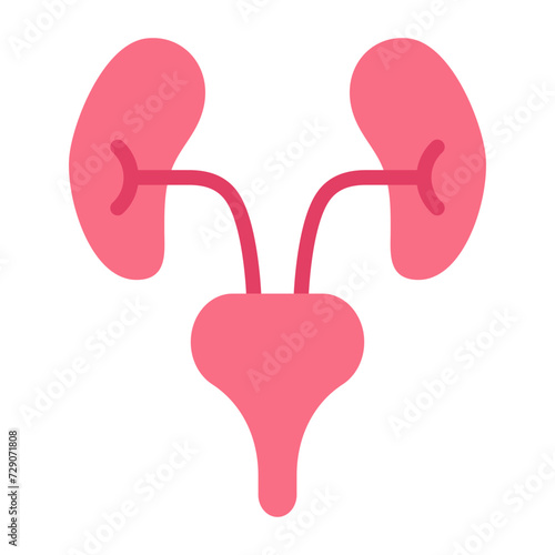 Urology Icon