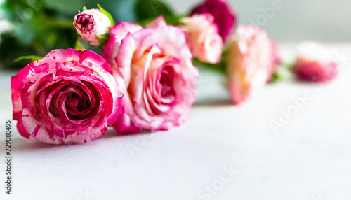 Watercolor border isolated on white, artistic background with space for text use
