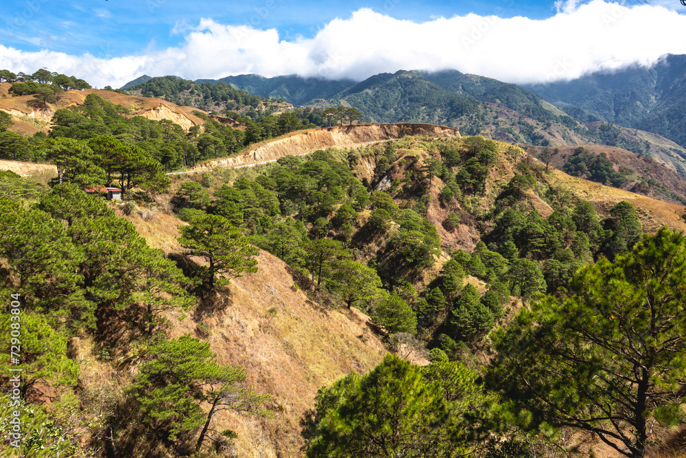 Expansive view of a mountainous landscape with lush pine trees and a visible hiking trail under a blue sky. At San Nicolas, Pangasinan, part of the Cordillera mountains.