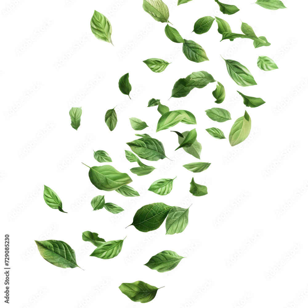 Naklejka premium Isolated white background showcases a vibrant set of fresh green leaves, capturing the beauty of nature in a closeup.