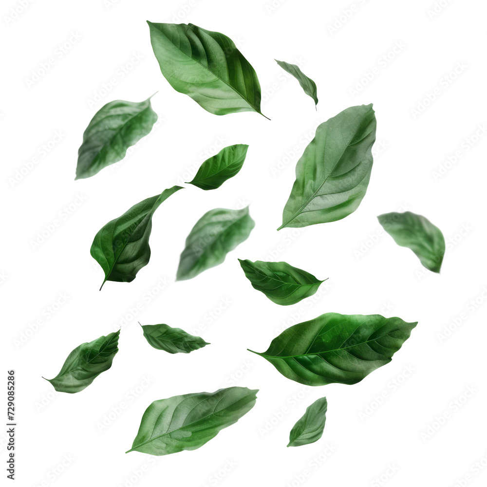Isolated white background showcases a vibrant set of fresh green leaves, capturing the beauty of nature in a closeup. Isolated white background showcases a vibrant set of fresh green leaves, capturing the beauty of nature in a closeup.