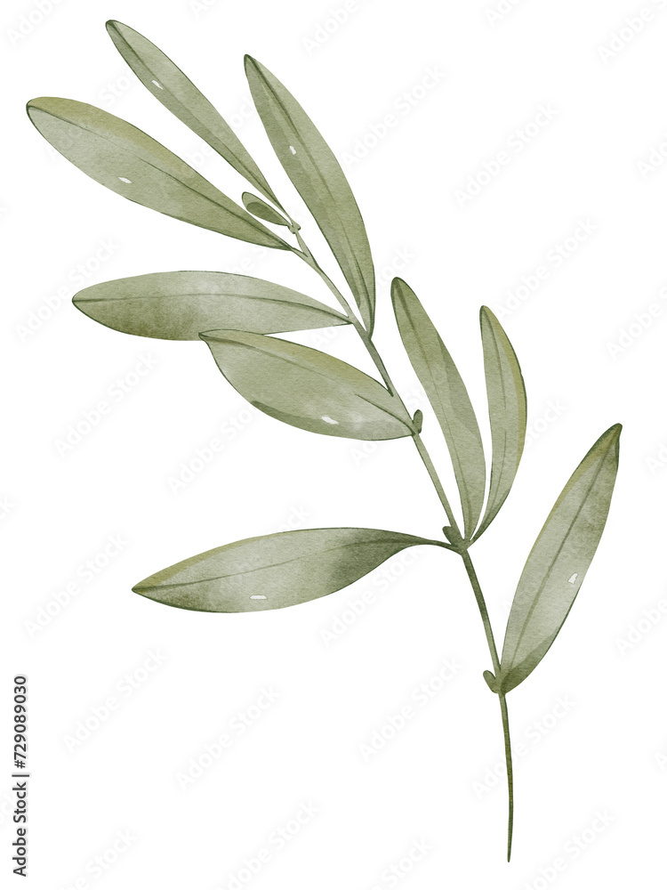 Obraz premium Watercolor green leaves