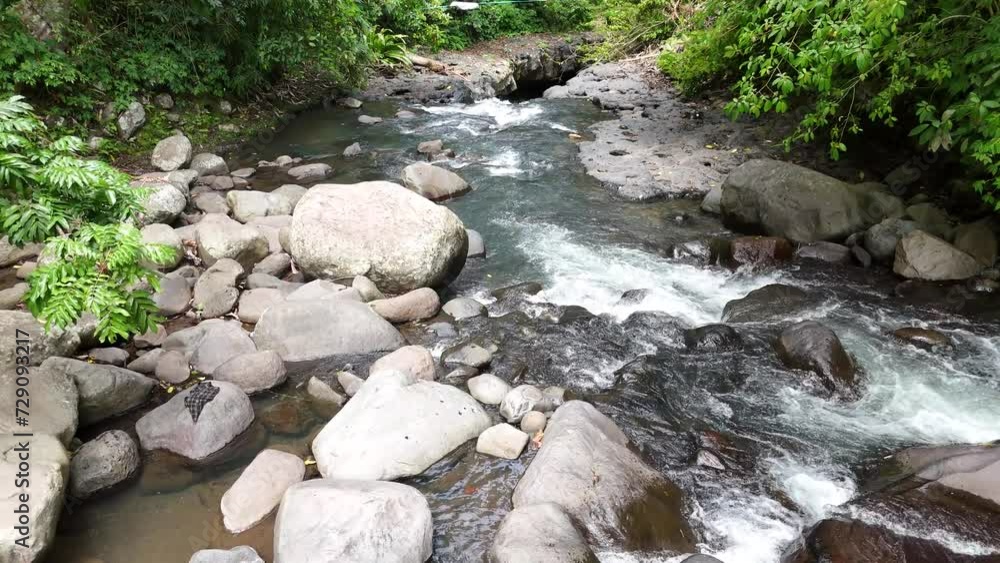 clear flowing river water.
This is a river that flows from a spring in the protected forest of Sesaot Hamlet - West Lombok.
This river is a source of water for local communities. clear flowing river water.
This is a river that flows from a spring in the protected forest of Sesaot Hamlet - West Lombok.
This river is a source of water for local communities.