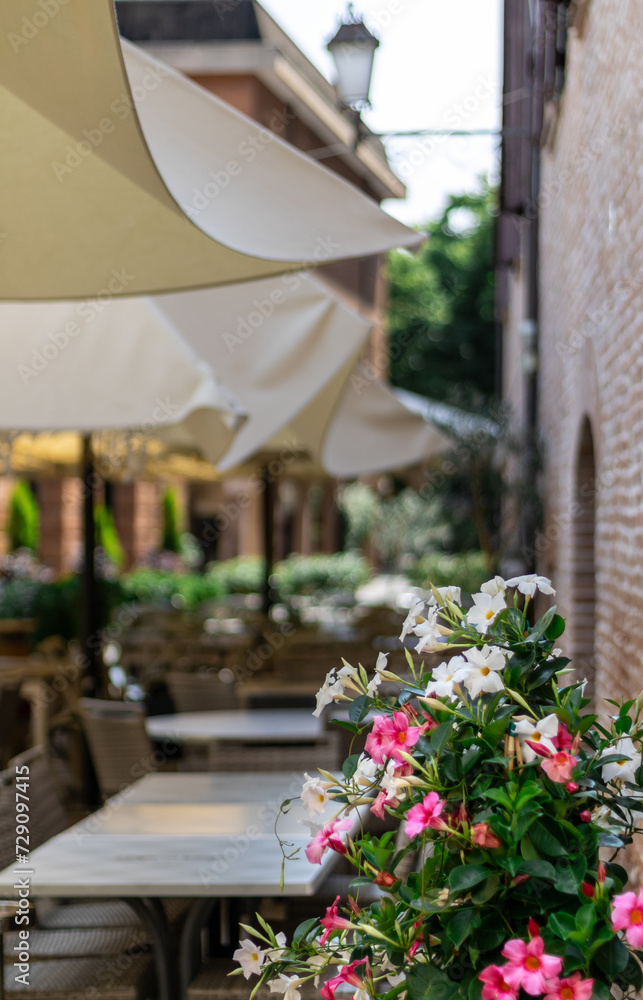 Obraz premium Blossoming Haven: A Terrace Adorned with White and Pink Flowers