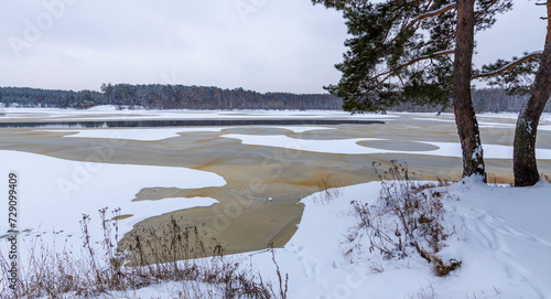 Winter landscape on the river. grass and snow in the foreground, melted snow on the ice
