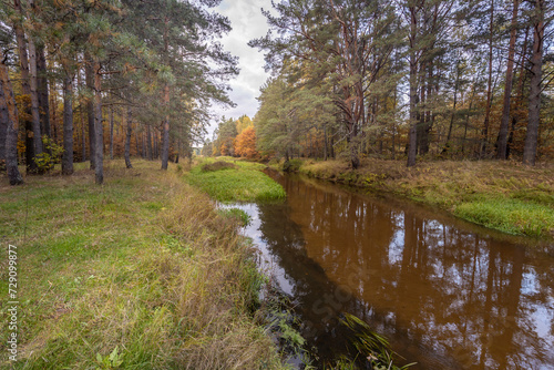 Autumn landscape, dense forest on the river bank with a beautiful reflection of calm water.