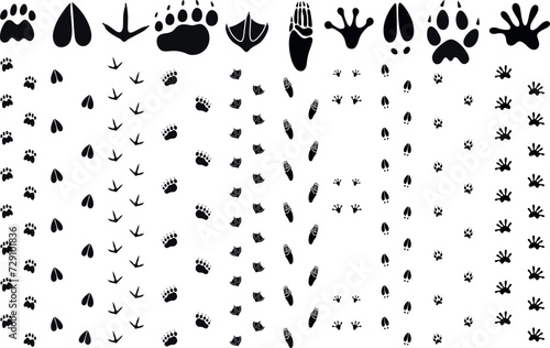 Paw print silhouette. Isolated paw print on white background