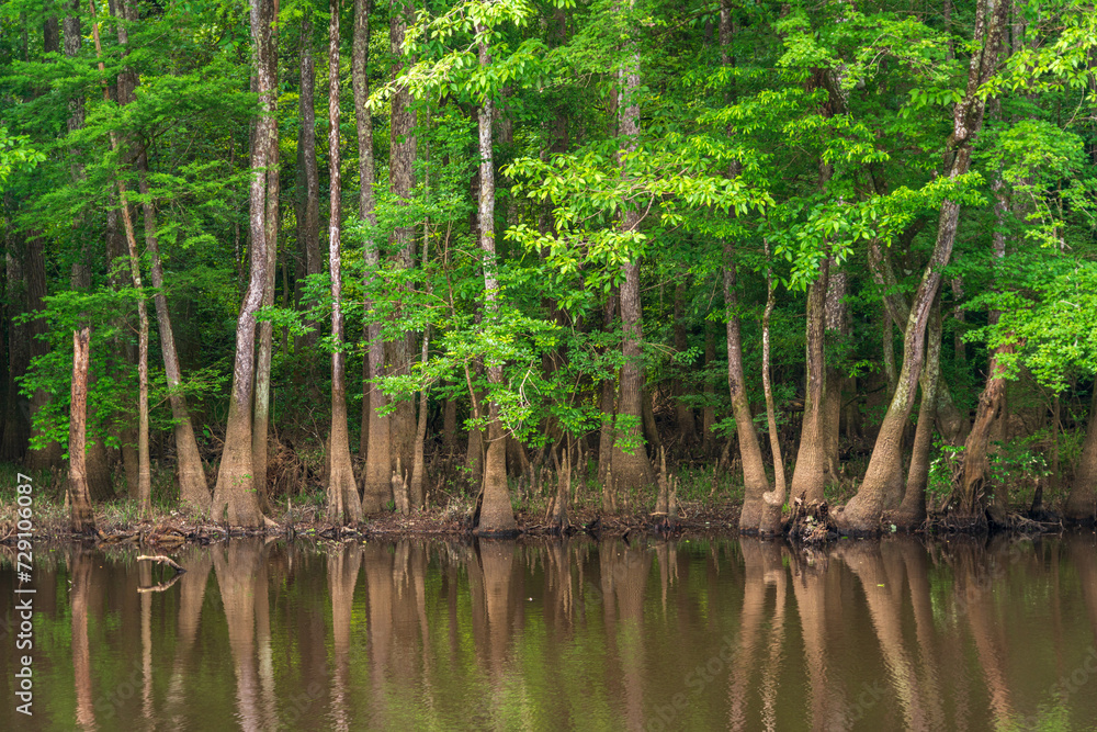 Congaree National Park in central South Carolina Congaree National Park in central South Carolina