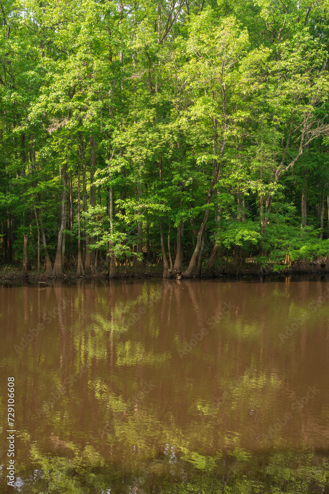 Congaree National Park in central South Carolina Congaree National Park in central South Carolina