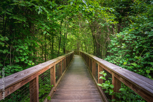 Boardwalk Trail at Congaree National Park in central South Carolina © Zack Frank