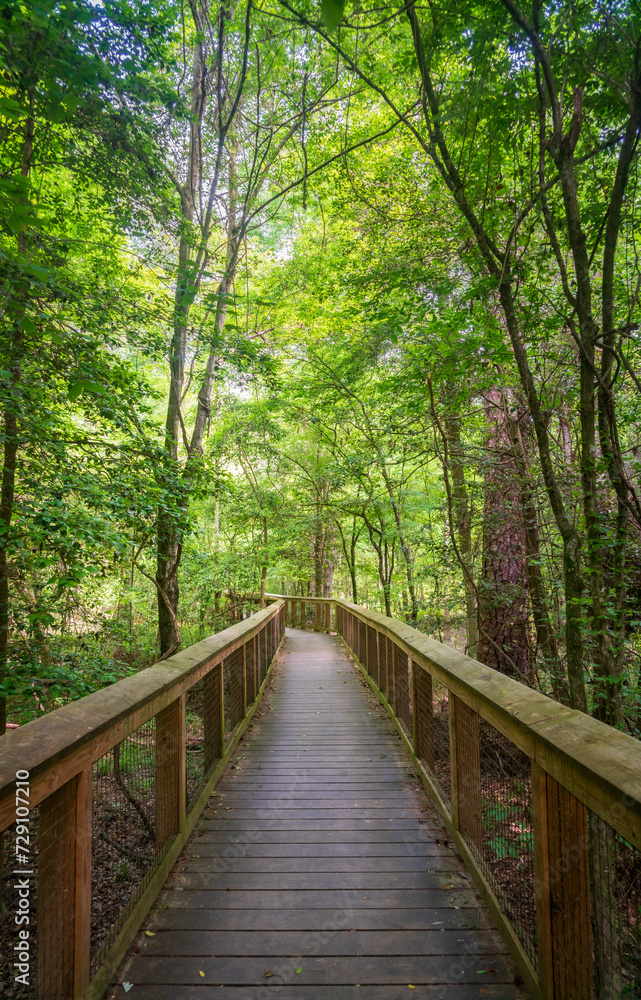 Boardwalk Trail at Congaree National Park in central South Carolina Boardwalk Trail at Congaree National Park in central South Carolina