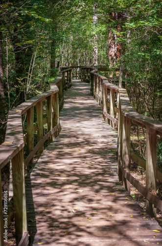 Boardwalk Trail at Congaree National Park in central South Carolina