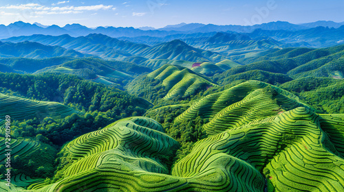Panoramic view of Asian agriculture in a mountainous landscape, showcasing the tranquil beauty of rural farms and terraced plantations amidst lush greenery and scenic forestry © MdIqbal