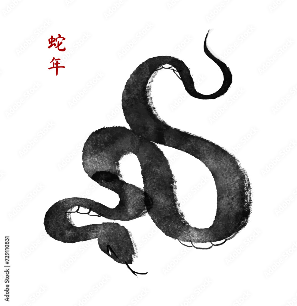 Obraz premium Snake. Ink hand drawn animal. Chinese Brushwork. Chinese new year symbol. Asian lunar calendar beast. Chinese text means 