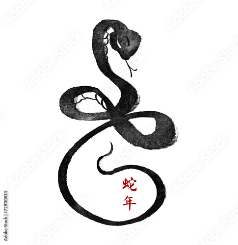 Snake. Ink hand drawn animal. Chinese Brushwork. Chinese new year symbol. Asian lunar calendar beast. Chinese text means "The year of the snake".