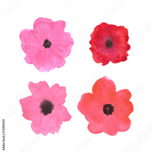 Hand drawn watercolor abstract poppy flowers bouquet isolated on white background. Can be used for scrapbook, label and other printed products.