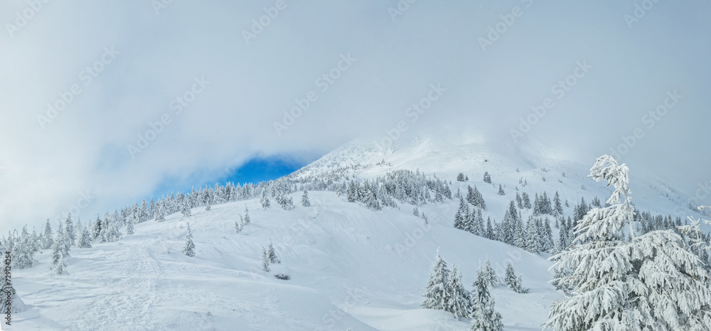 Beautiful sunny winter landscape in the mountains. Mountain and fir trees covered with snow and cloud.