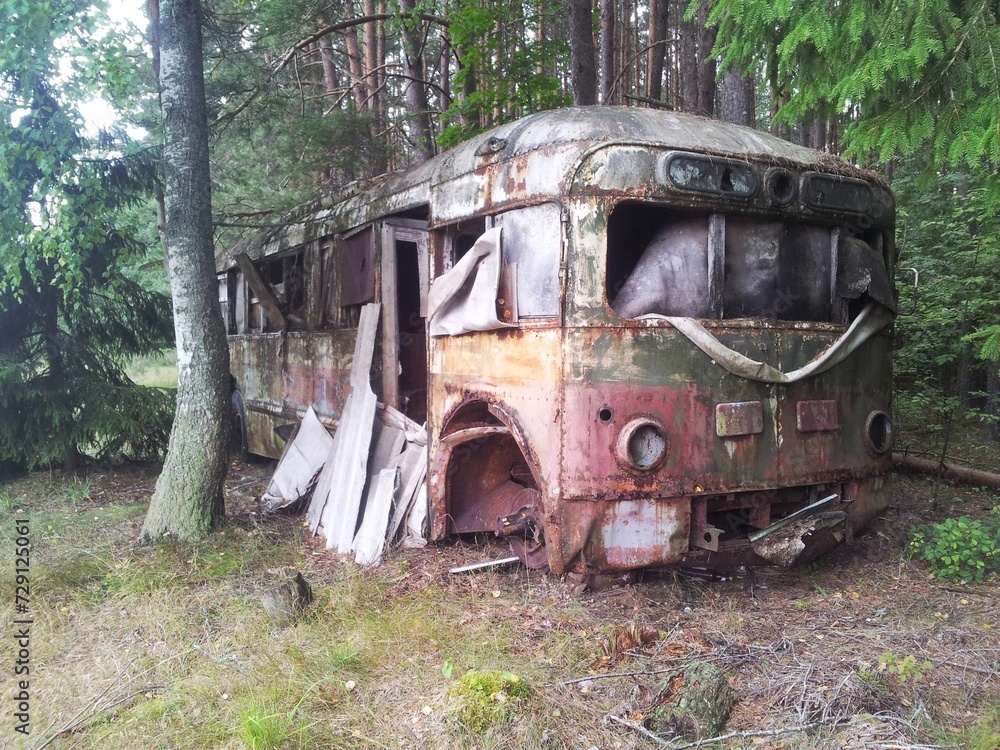 Bus in the woods