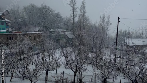 J&K Kupwara trees Winters: Crisp dry trees whisper in autumn's farewell a beautiful landscape photo