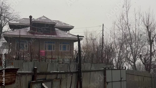 J&K Kupwara Winters houses: Crisp dry trees whisper in autumn's farewell a beautiful landscape photo