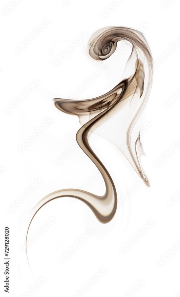 Obraz premium sexy woman, art abstract photo of fuzzy shapes of smoke on a white background.